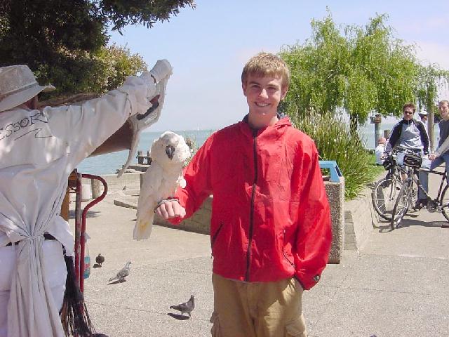 parrot3.jpg (67129 bytes)
