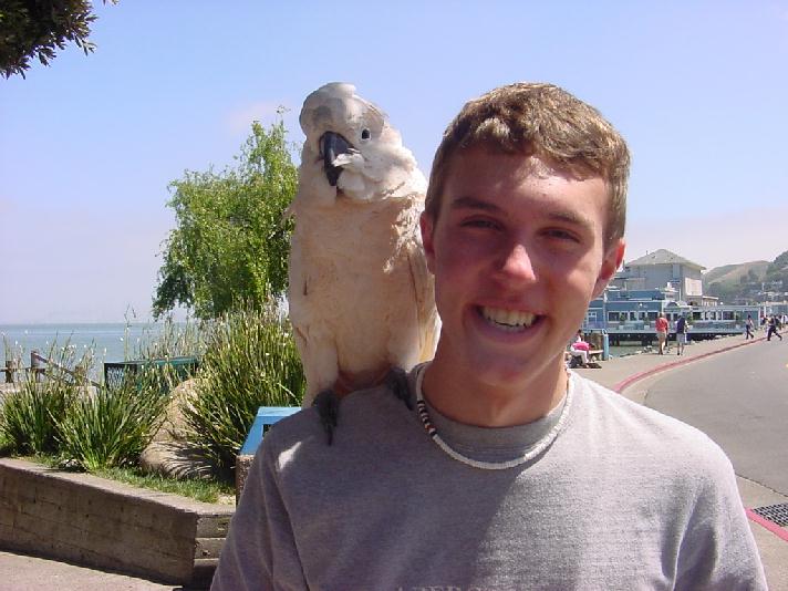 parrot4.jpg (62226 bytes)